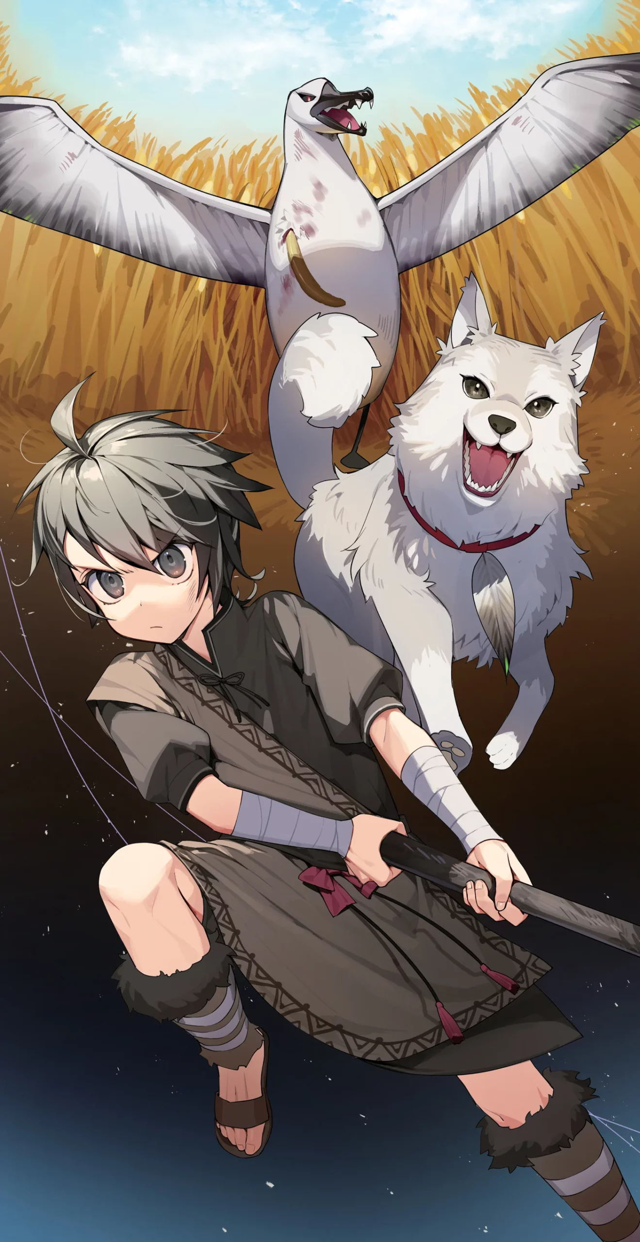 Color Image2